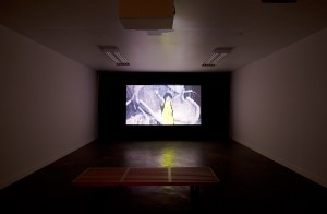 Deville Cohen, Install View 2
