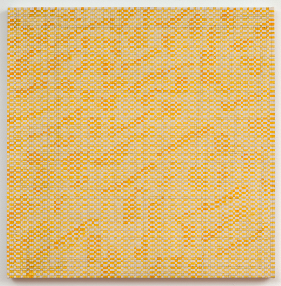 Turmeric Grid 2