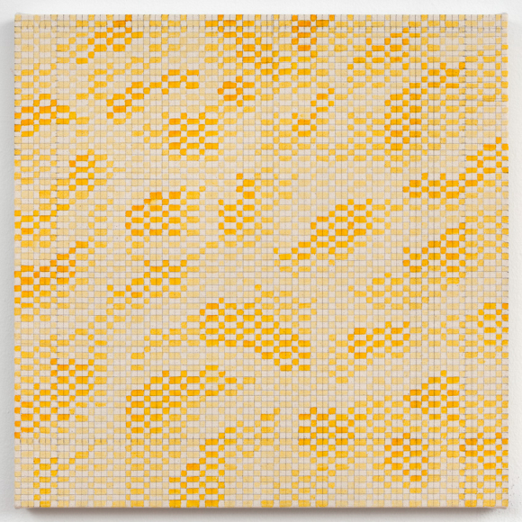 Turmeric Grid 20_ x 20_
