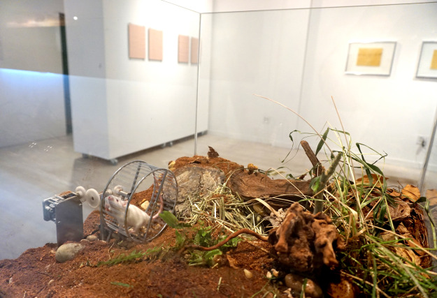 terrarium_detail3